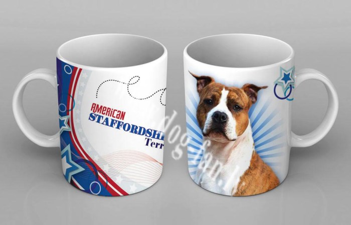 am_staffordshire_terrier copy
